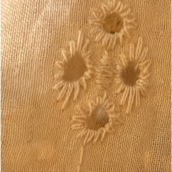 New Yellow Lace V-Neck Short-Sleeve Top - Women & Plus
Z Avenue from Zulily 2X - Picture 8 of 10